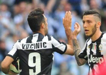 vucinic_marrone