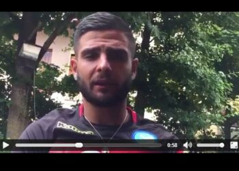 insigne_video_2018