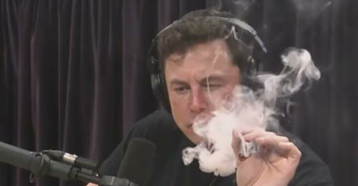 elon_musk_maria_2018