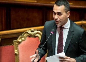 Reddito di cittadinanza, Luigi Di Maio al Senato