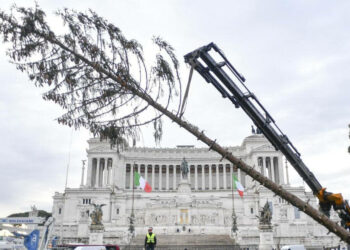 Spelacchio "abbattuto"