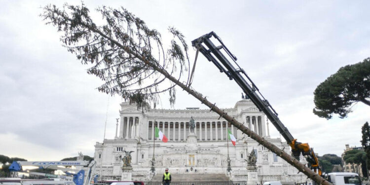 Spelacchio "abbattuto"