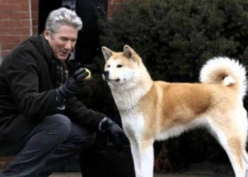 Hachiko - Il tuo migliore amico