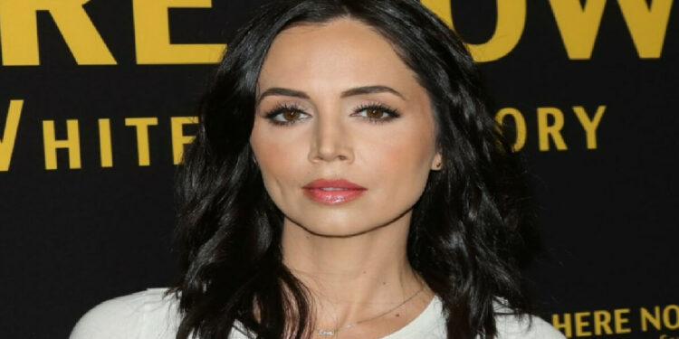 Eliza Dushku, accuse di molestie ad un collega