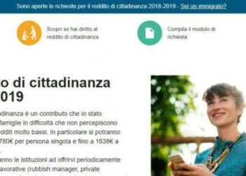 Reddito di Cittadinanza fake