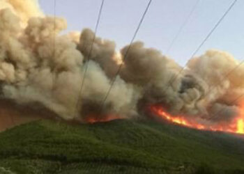 Incendio Monte Serra