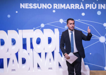 reddito di cittadinanza 2019