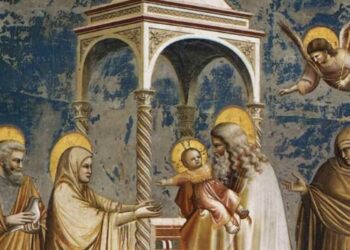 Presentazione di Gesù al Tempio, Giotto