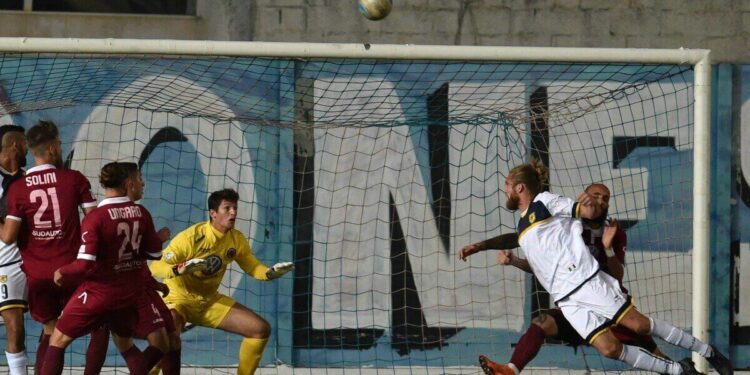 I giocatori della Reggina (Foto LaPresse)