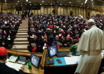 Papa Francesco parla al summit sulla protezione dei minori nella Chiesa (Lapresse)