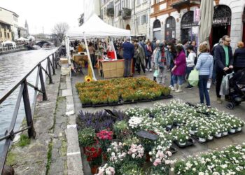 Fiori e Sapori sul Naviglio Grande