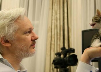 Julian Assange nell'ambasciata dell'Ecuador, 2016 (LaPresse)