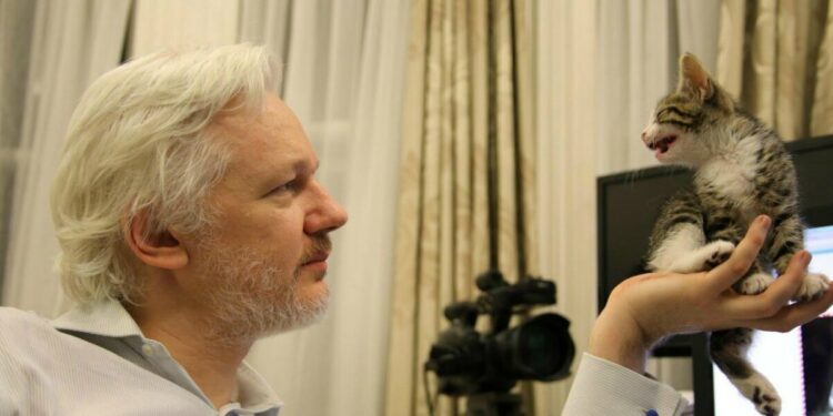 Julian Assange nell'ambasciata dell'Ecuador, 2016 (LaPresse)