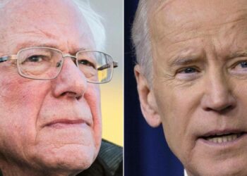 Bernie Sanders vs Joe Biden