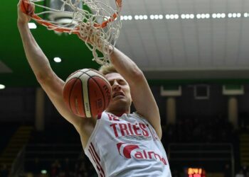 Dragic Trieste basket