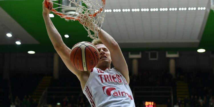 Dragic Trieste basket