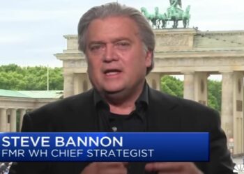 elezioni europee 2019 steve bannon