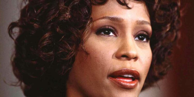 Whitney Houston in tour dopo la morte, La Presse