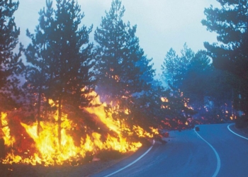 Colata di lava che avanza verso la strada (eruzione 2002 dell'Etna)