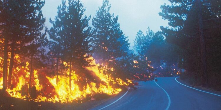 Colata di lava che avanza verso la strada (eruzione 2002 dell'Etna)