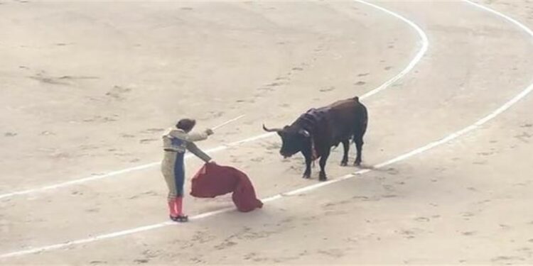 Roman Collado, torero incornato