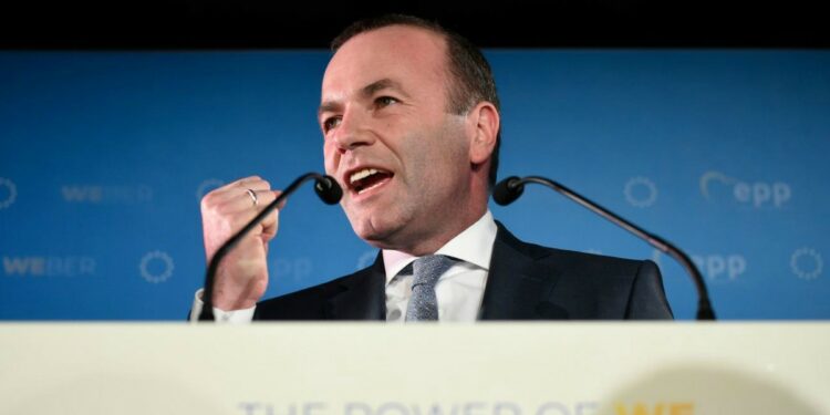 Manfred Weber (LaPresse)