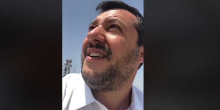 salvini gabbiani