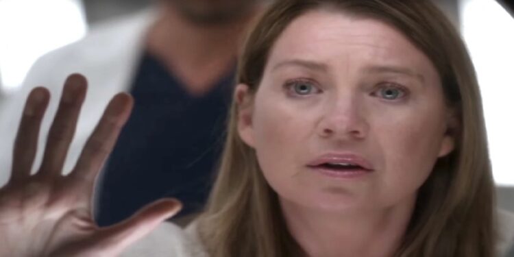 Grey's Anatomy 15, Meredith Grey