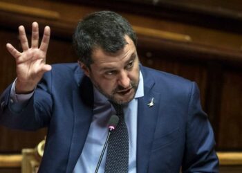 Matteo Salvini (LaPresse)