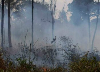 Incendi in Amazzonia