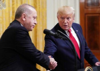 Recep Tayyip Erdogan, presidente turco, con il presidente americano Donald Trump (LaPresse)