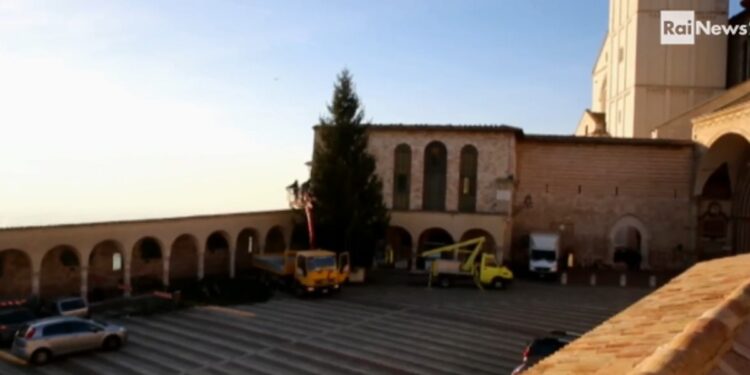 assisi cerimonia accensione albero di Natale e presepe