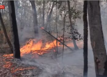 Incendi in Australia (Sky, Youtube)