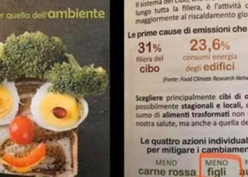 Cremona, volantino choc: "Meno figli per il clima"