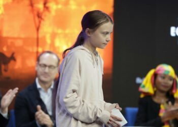 Greta Thunberg al World Economic Forum di Davos (LaPresse)