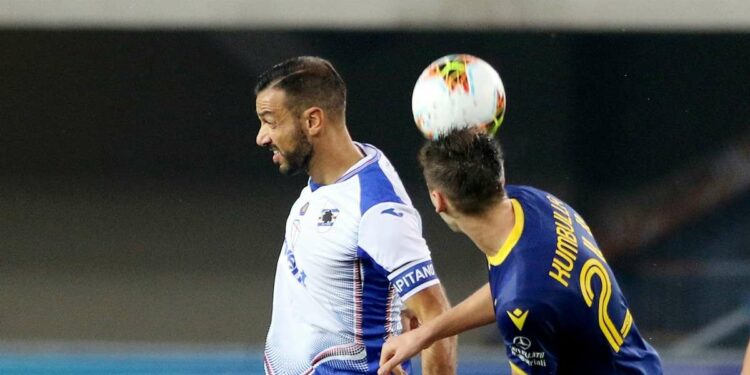 Diretta Sampdoria Verona, Serie A 26^ giornata (Foto LaPresse)