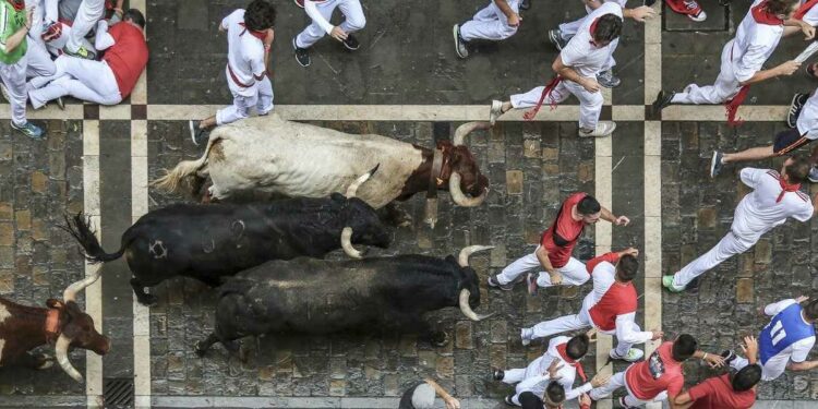 Tori a Pamplona per San Firmino (foto: Pixabay)