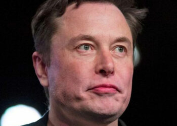 Critiche ad Elon Musk sui cambiamenti apportati a Twitter