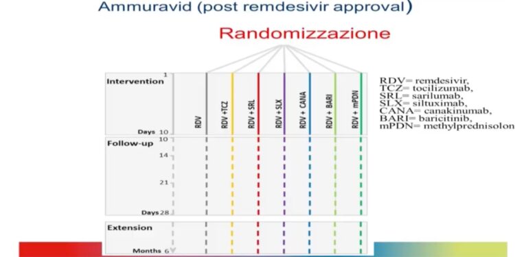 Ammuravid trial