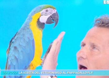 Enzo Salvi e il pappagallo Fly