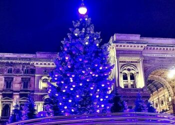 L'albero di Natale in piazza Duomo a Milano