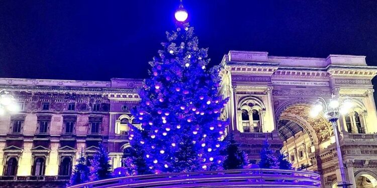 L'albero di Natale in piazza Duomo a Milano