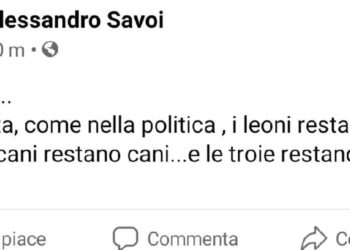 Alessandro Savoi, il tweet con le offese