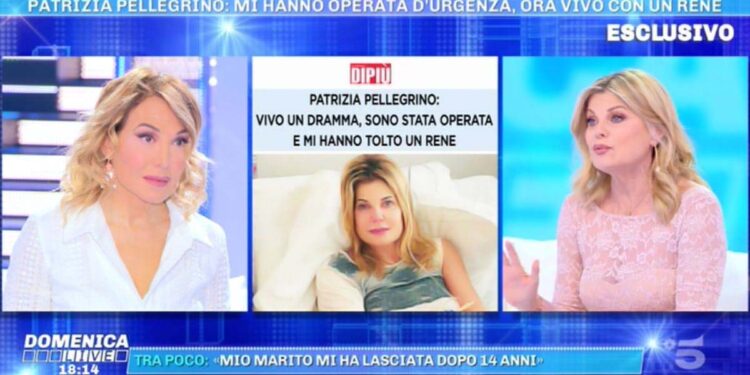 Patrizia Pellegrino, Domenica Live