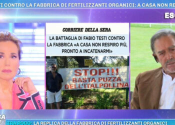 Fabio Testi, Domenica Live