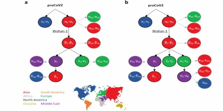 Ecco "l'albero genealogico" del coronavirus