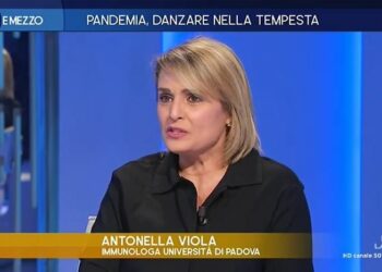 Viola a Otto e mezzo