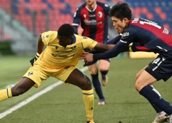 Diretta Verona Bologna, Serie A 37^ giornata (Foto LaPresse)