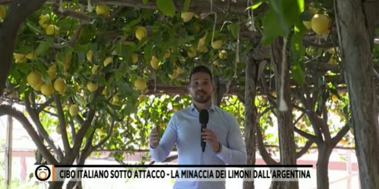 Limoni e ciliegie, è caos (Fuori dal coro)