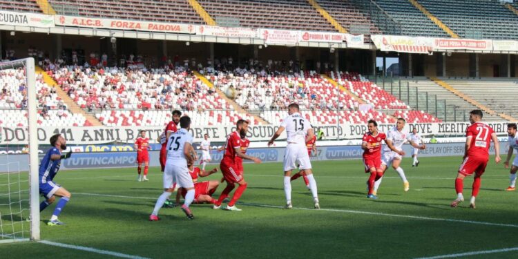 Il Padova sarà promosso in Serie B? (Foto LaPresse)